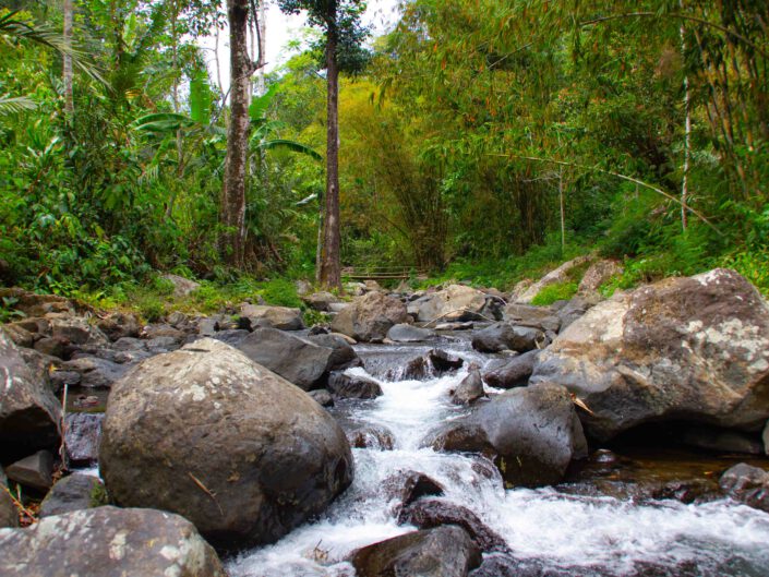 Wasserlauf auf Bali