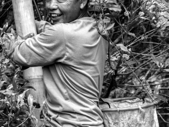 Landarbeiter bei der Ernte in Bali